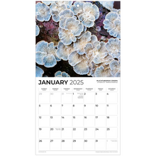 Load image into Gallery viewer, generated-preview-1