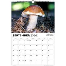 Load image into Gallery viewer, 11d83b31-40b2-4cab-9c37-cdacaf091c77