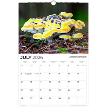 Load image into Gallery viewer, 152ec2bd-36f1-44c0-a20a-b05dbb519439