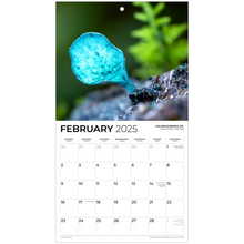 Load image into Gallery viewer, generated-preview-2