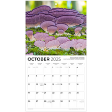 Load image into Gallery viewer, generated-preview-10