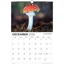 Load image into Gallery viewer, 74922c53-a2d5-4999-8a35-3766de425a26