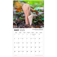 Load image into Gallery viewer, generated-preview-5