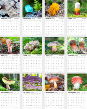 Load image into Gallery viewer, 2025 Mushrooms Wall Calendar