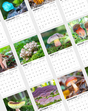 Load image into Gallery viewer, 2025 Mushrooms Wall Calendar
