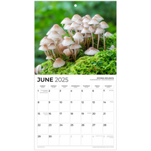 Load image into Gallery viewer, generated-preview-6