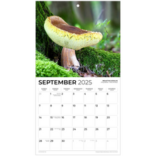 Load image into Gallery viewer, generated-preview-9