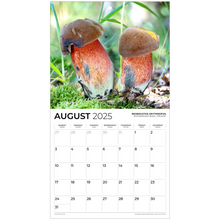 Load image into Gallery viewer, generated-preview-8