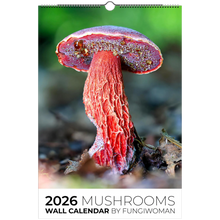 Load image into Gallery viewer, f424bfc9-d038-4928-9186-9560d7cff211