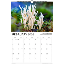 Load image into Gallery viewer, fe5a1393-df18-4c92-9818-a02f3d67ad9b