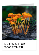 Load image into Gallery viewer, Let's Stick Together – Friendship Greeting Card by FUNGIWOMAN