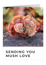 Load image into Gallery viewer, Sending You Mush Love – Encouragement Greeting Card by FUNGIWOMAN