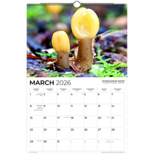 Load image into Gallery viewer, 22948fa1-a0a7-4345-9072-c77229acf718
