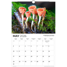 Load image into Gallery viewer, 33197392-f3bf-4457-93d1-e4f57101701a
