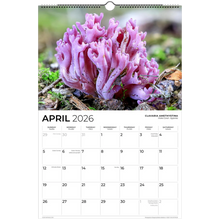 Load image into Gallery viewer, 42929165-0b25-47a4-a6d5-e7caf6ba1a3e
