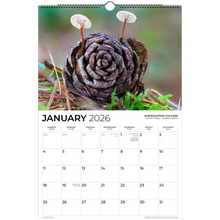 Load image into Gallery viewer, 4835502b-e839-4e42-91d6-2dab3c2bb7c5
