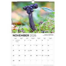 Load image into Gallery viewer, 4e2eef67-6f66-4c7d-844f-0dd2a587fd6f
