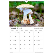 Load image into Gallery viewer, 648cd3f1-f68e-4e61-819b-f1567a60c8c1
