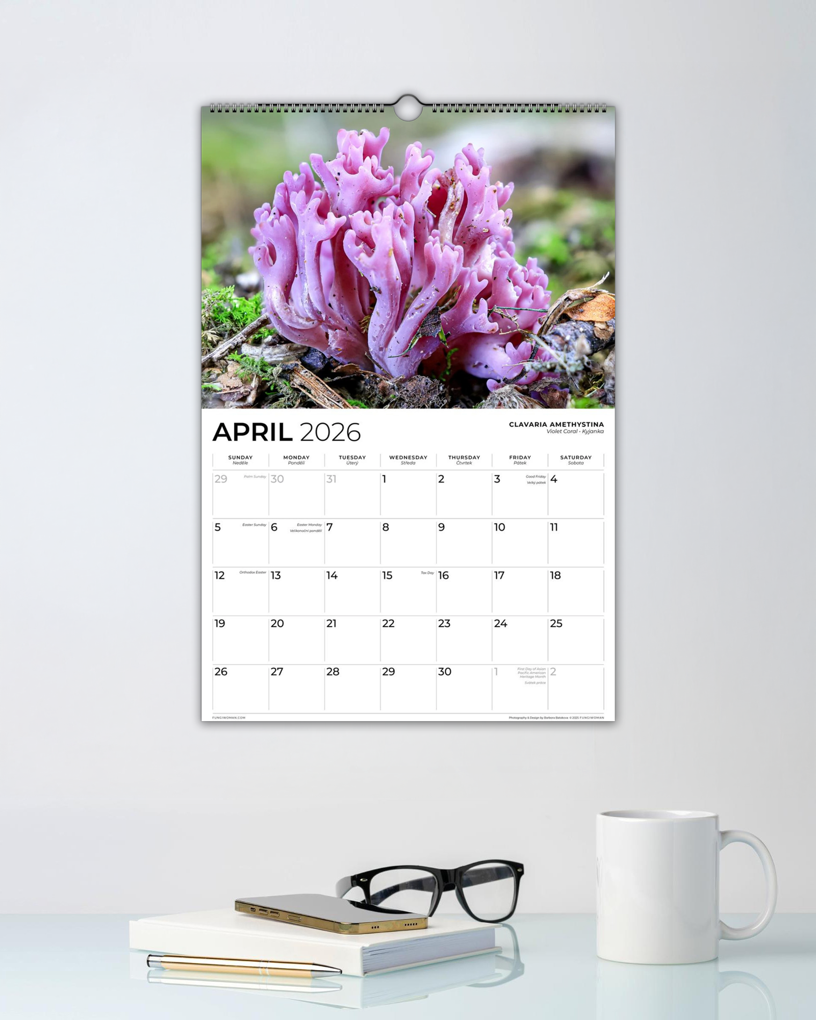 succulent wall calendar 2026 Mushrooms Wall Calendar by @fungiwoman – FUNGIWOMAN