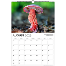 Load image into Gallery viewer, f00d9f03-d30e-420a-b415-d492a4337244
