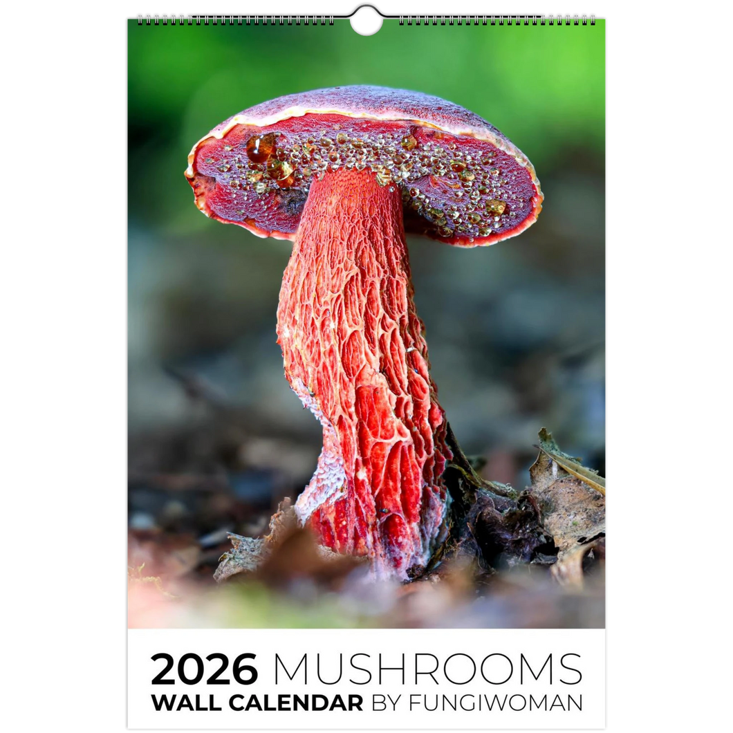 f424bfc9-d038-4928-9186-9560d7cff211