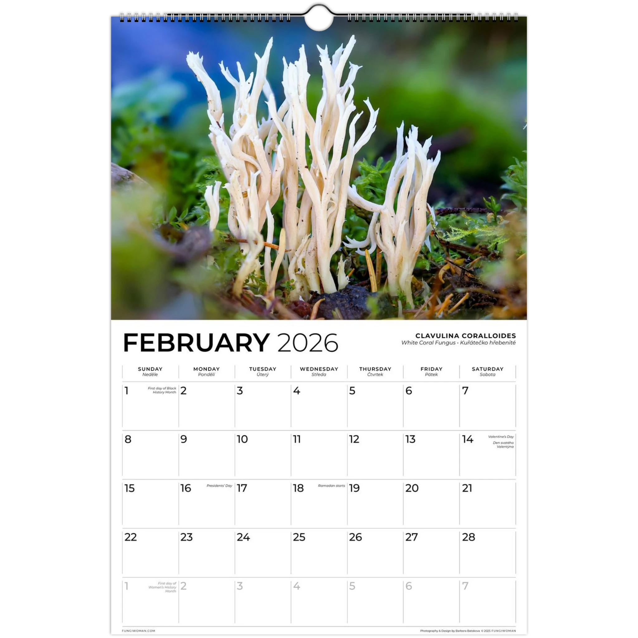 Gaudí Wall Calendar 2024 (Art Calendar) - Book Summary & Video