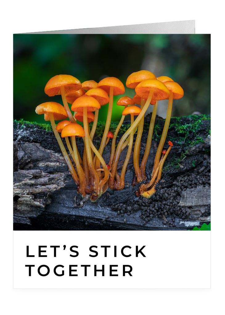 Let's Stick Together – Friendship Greeting Card by FUNGIWOMAN