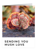 Load image into Gallery viewer, Sending You Mush Love – Encouragement Greeting Card by FUNGIWOMAN
