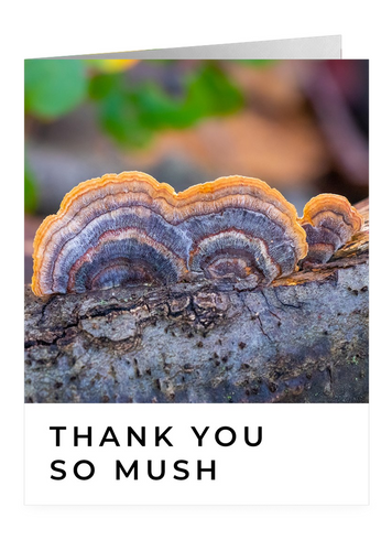 Thank You So Mush – Greeting Card by FUNGIWOMAN