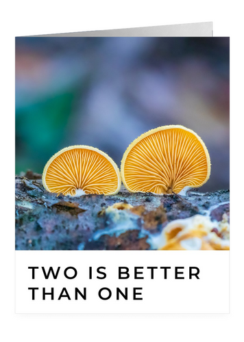 Two Is Better Than One – Friendship Greeting Card by FUNGIWOMAN