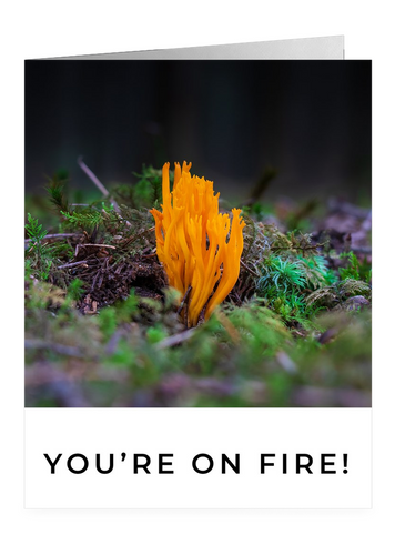 You're on Fire – Congratulations Greeting Card by FUNGIWOMAN